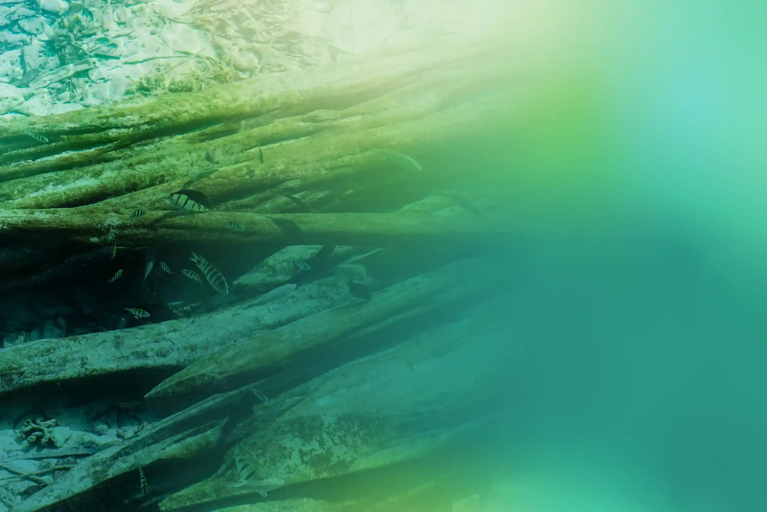 Médecine ambulatoire