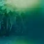 Développement commercial