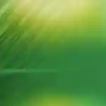 Transition écologique