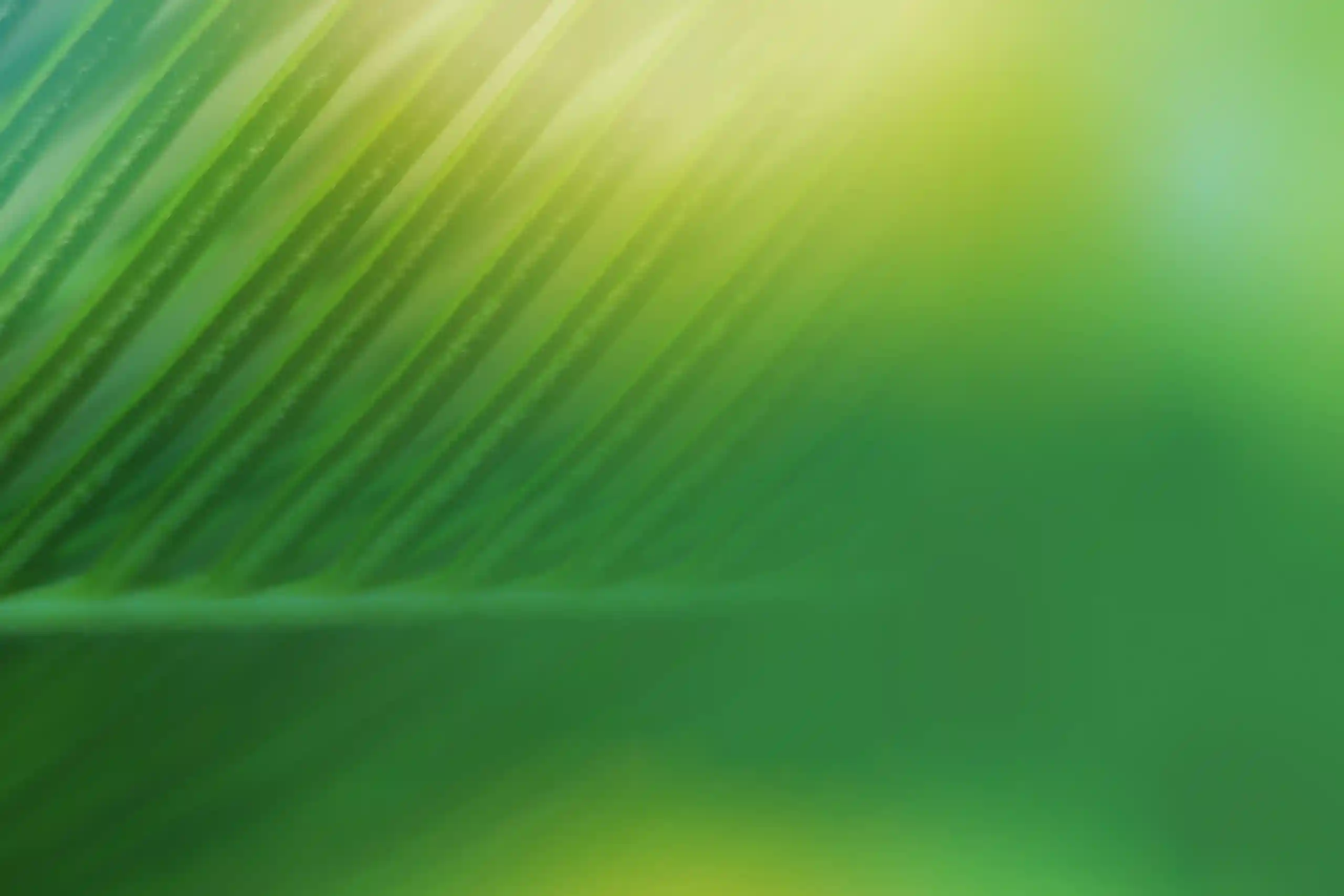 Transition écologique