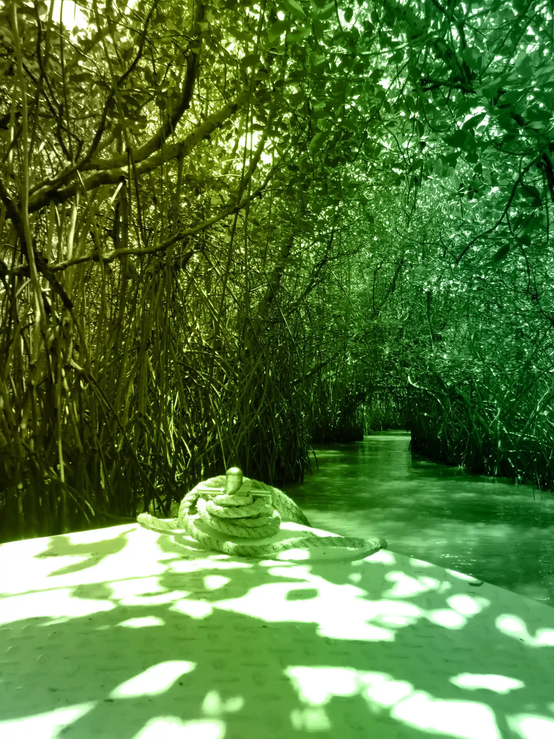 Développement durable